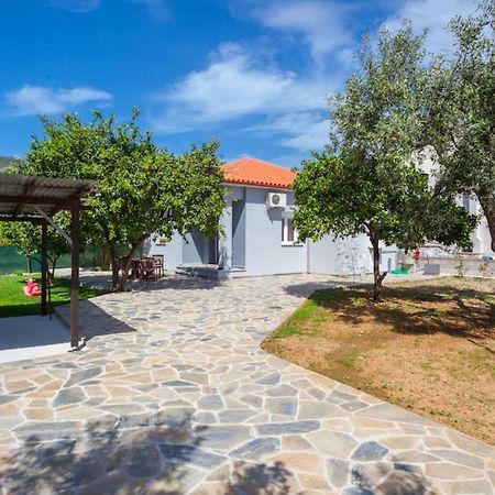 Aethra House In Agria Volou Villa Eksteriør bilde